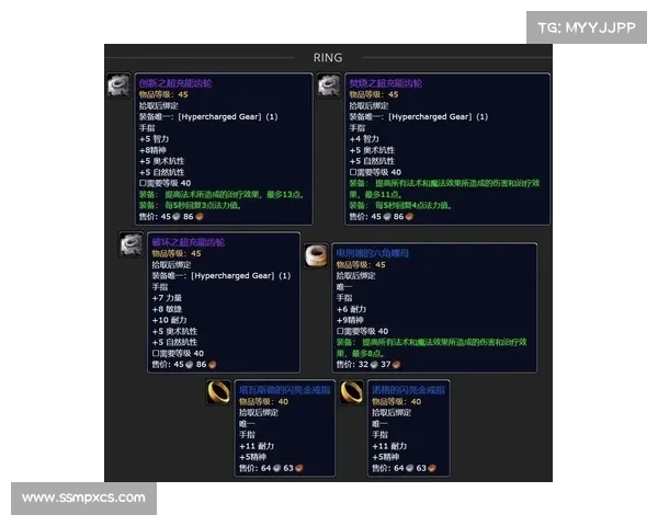 魔兽世界怀旧服宝宝装备进化：以等级为中心